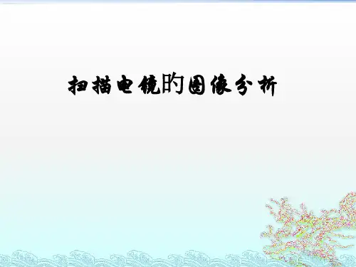 扫描电镜图像的分析