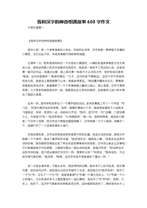 我和汉字的神奇相遇故事600字作文
