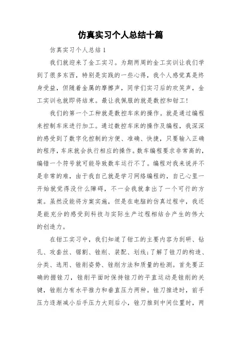 仿真实习个人总结十篇