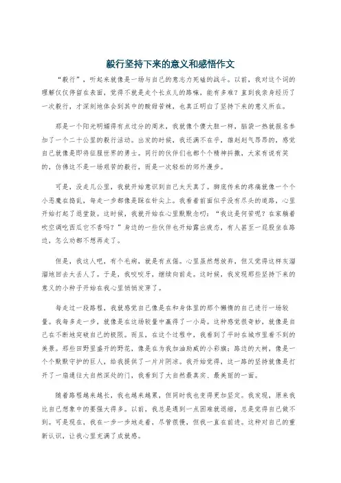 毅行坚持下来的意义和感悟作文