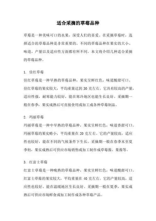 适合采摘的草莓品种
