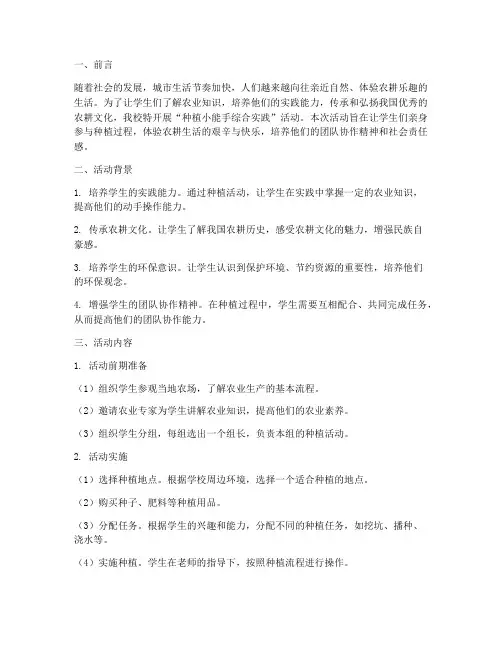种植小能手综合实践