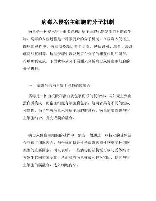 病毒入侵宿主细胞的分子机制