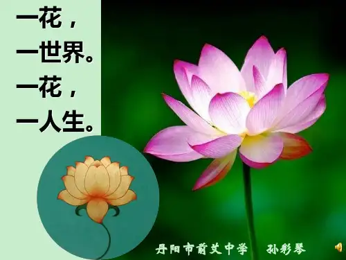 《第7课 图案之美课件》初中美术苏少版七年级上册17284