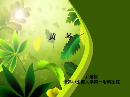 [中医中药]中药黄芩.ppt