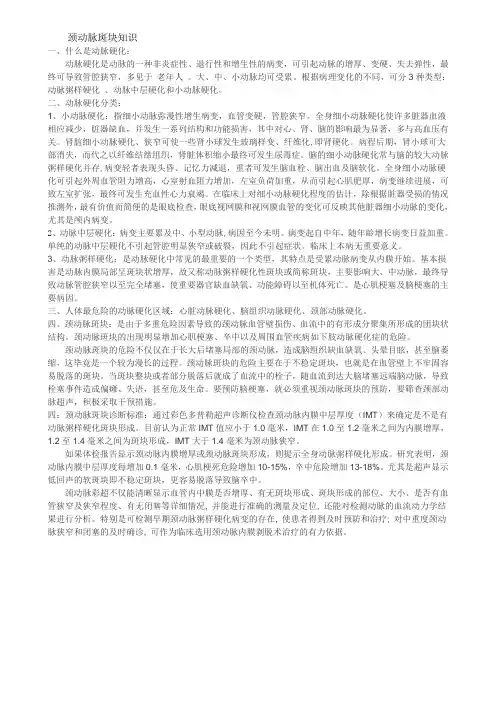 颈动脉斑块