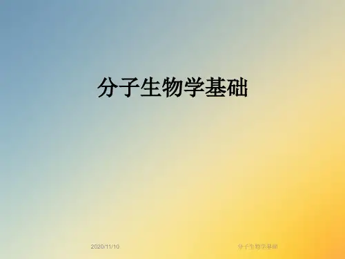 分子生物学基础