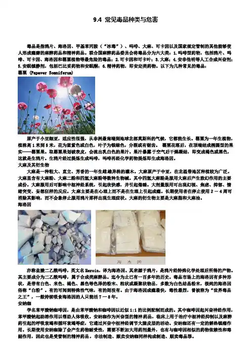 九年级化学下册 9.4 常见毒品种类与危害素材粤教版