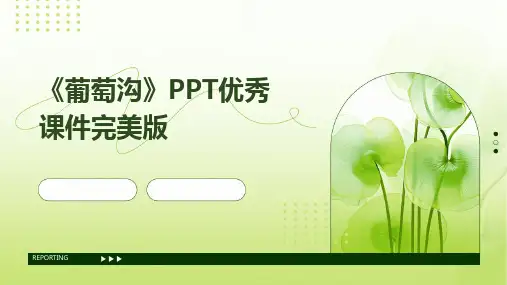 《葡萄沟》PPT优秀课件完美版