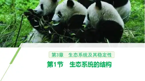 3.1生态系统的结构(共41张PPT1个视频)-人教版2019选择性必修2