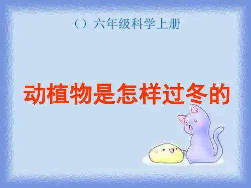 动植物是怎样过冬的(鄂教版)六年级科学上册