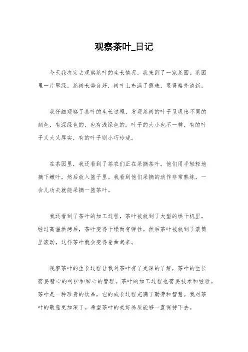 观察茶叶_日记