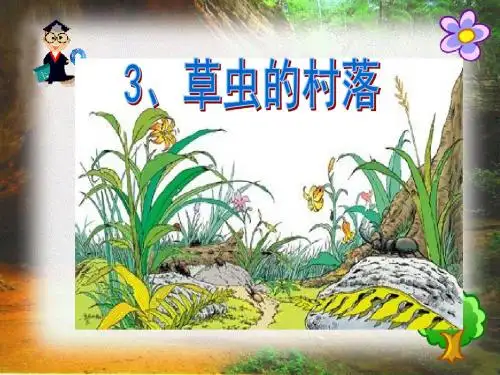人教版小学语文六年级上册《 草虫的村落》教学课件