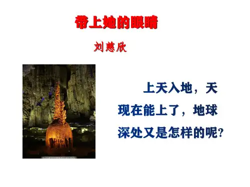 《带上她的眼睛》ppt课件