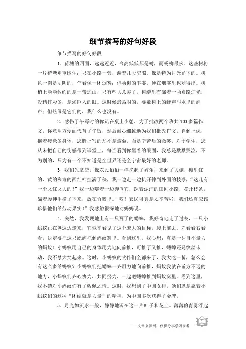 细节描写的好句好段