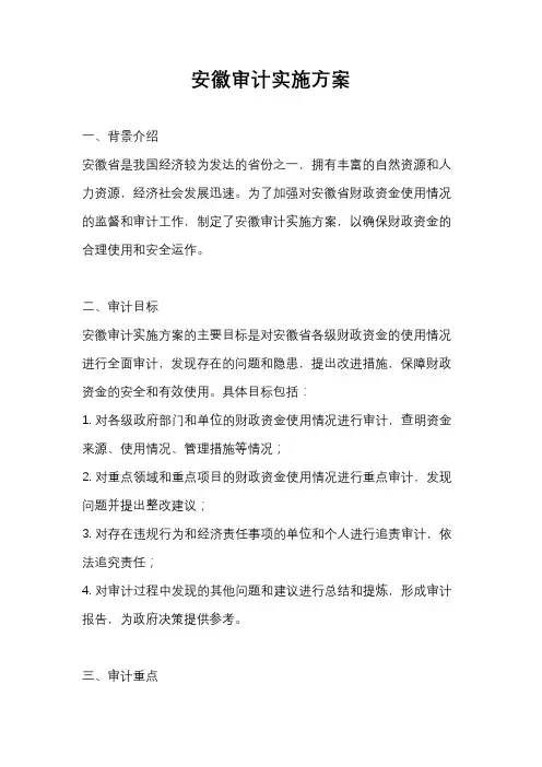 安徽审计实施方案