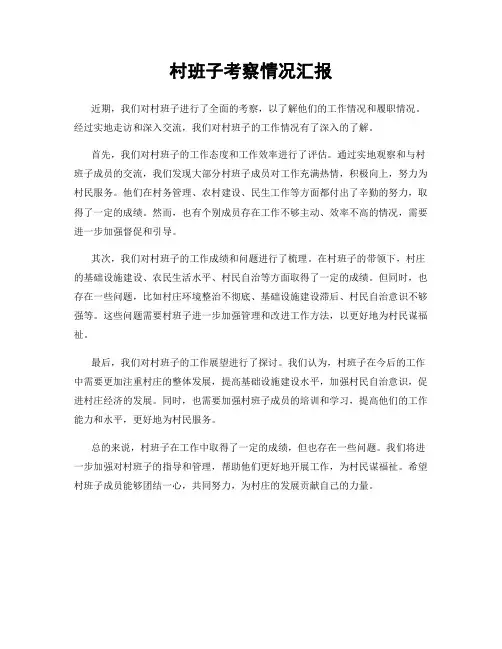 村班子考察情况汇报