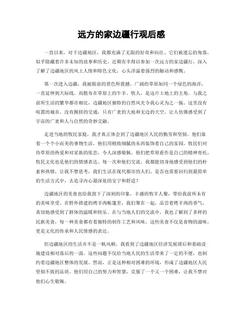 远方的家边疆行观后感