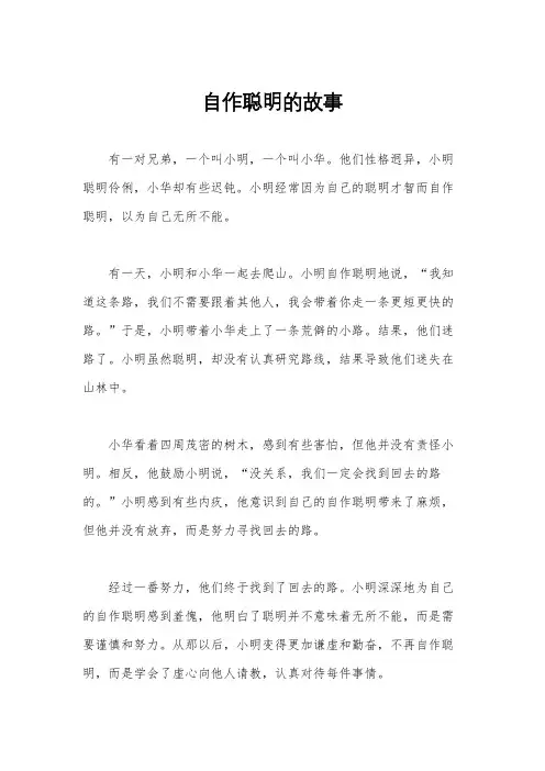 自作聪明的故事