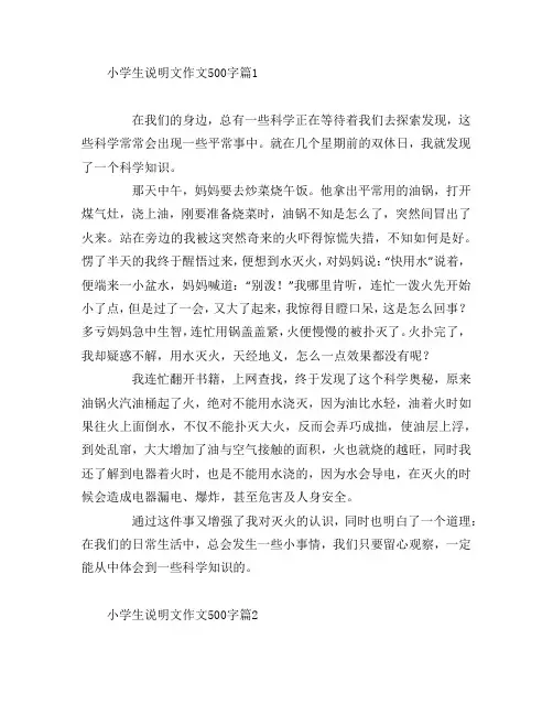 小学生说明文作文500字3篇