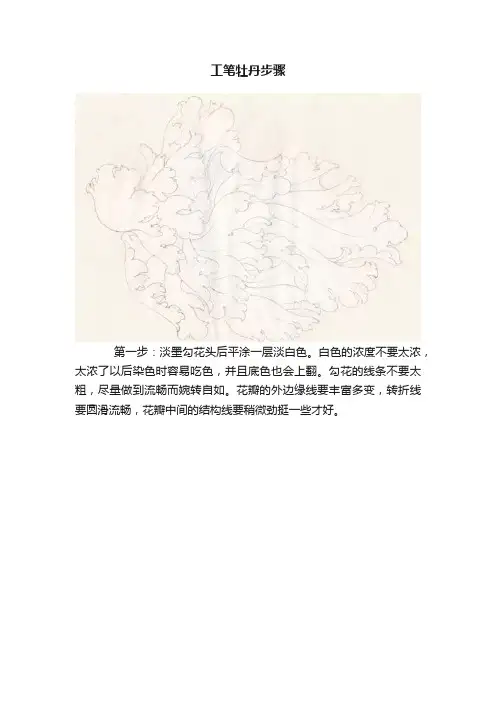 工笔牡丹步骤