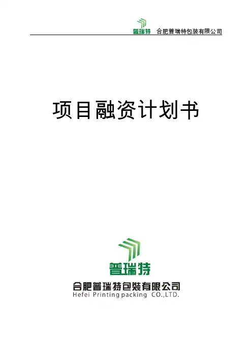 项目融资计划说明书.doc