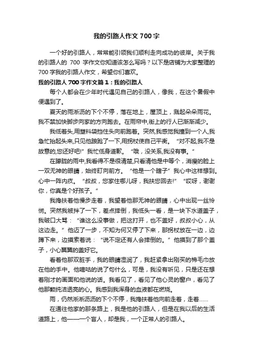 我的引路人作文700字