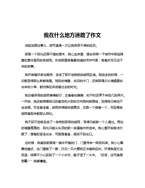 我在什么地方迷路了作文