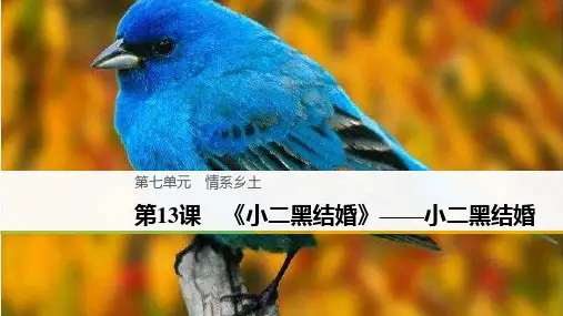 语文人教版选修《中国小说欣赏》第七单元 第13课 《小二黑结婚》——小二黑结婚