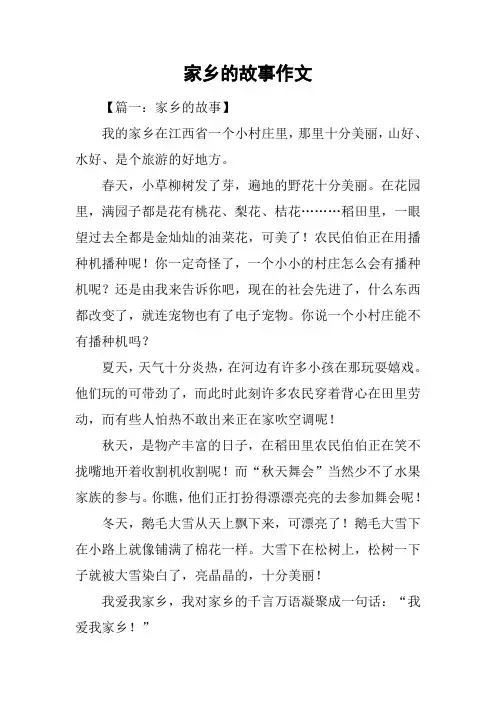 家乡的故事作文