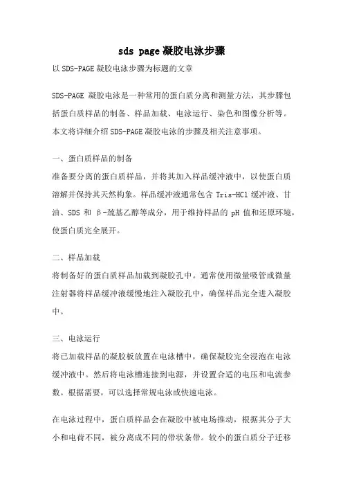 sds page凝胶电泳步骤
