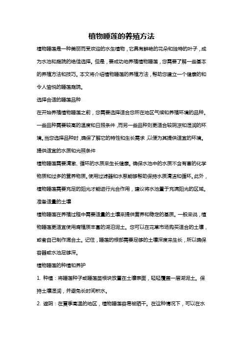 植物睡莲的养殖方法