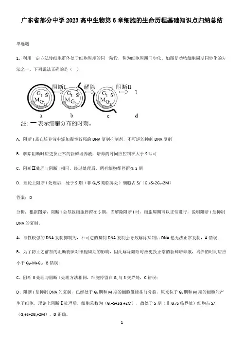 广东省部分中学2023高中生物第6章细胞的生命历程基础知识点归纳总结