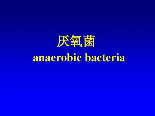 厌氧菌