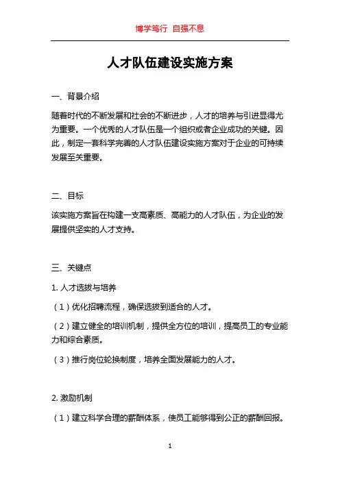 人才队伍建设实施方案