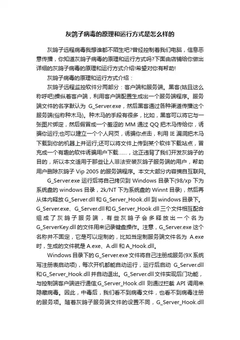 灰鸽子病毒的原理和运行方式是怎么样的