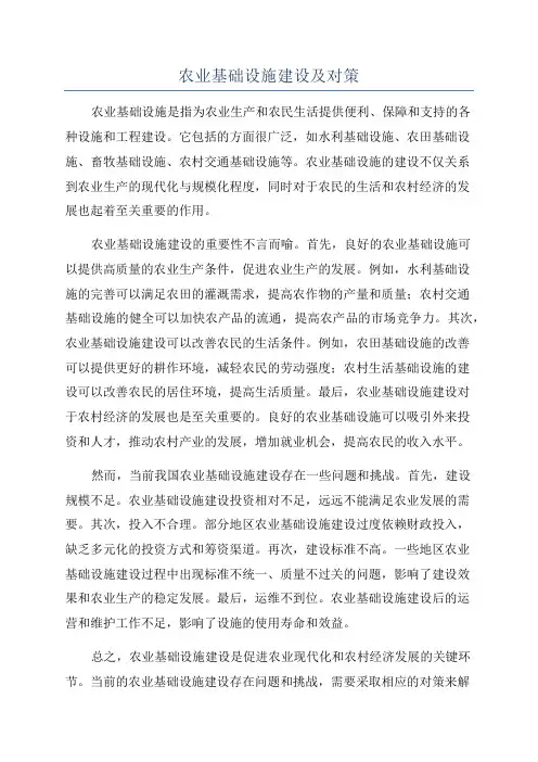 农业基础设施建设及对策