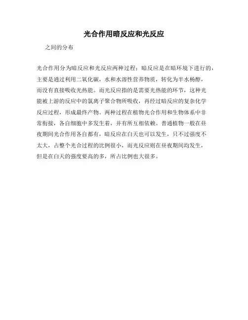 光合作用暗反应和光反应