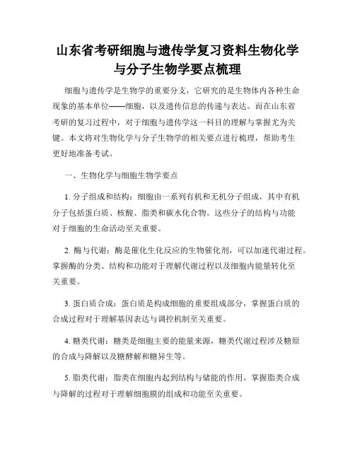 山东省考研细胞与遗传学复习资料生物化学与分子生物学要点梳理