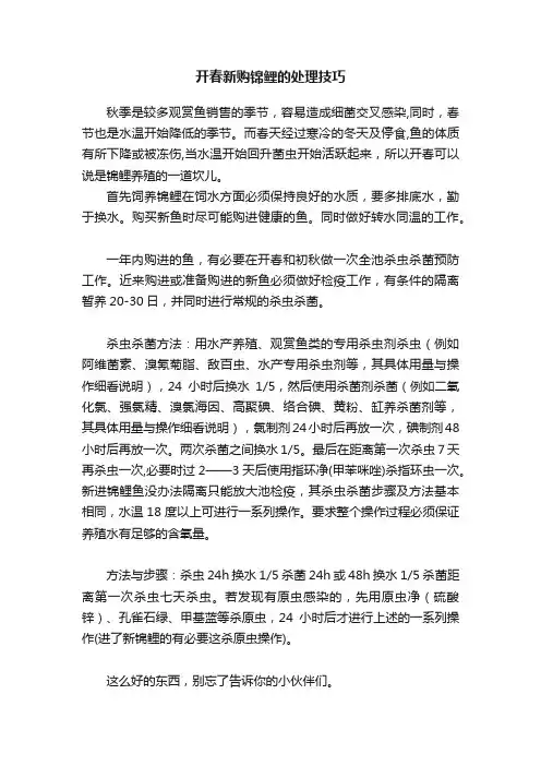 开春新购锦鲤的处理技巧