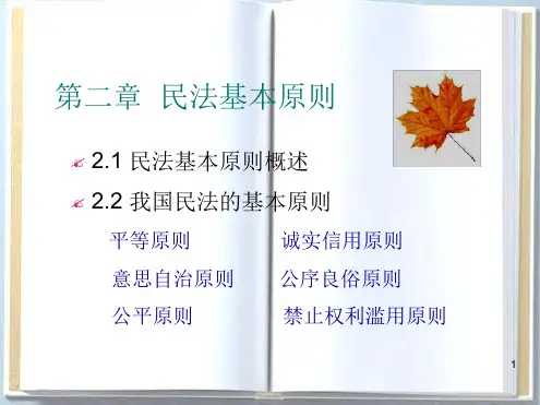 民法总论民法基本原则2017