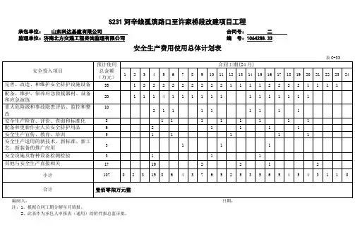 安全费用投入计划表