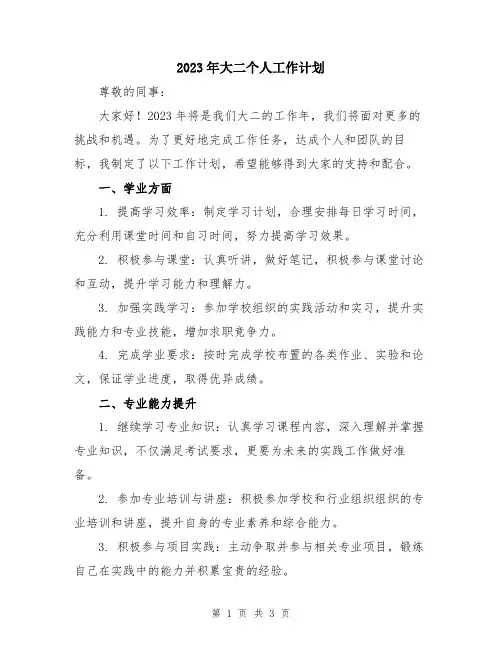 2023年大二个人工作计划