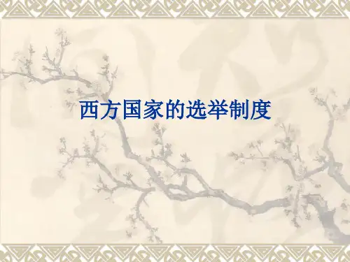 西方国家的选举制度
