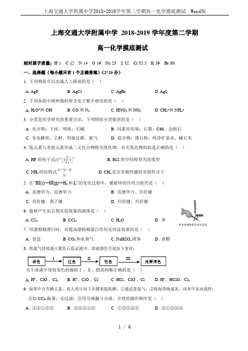 上海交通大学附属中学2018-2019学年第二学期高一化学摸底测试  Word版