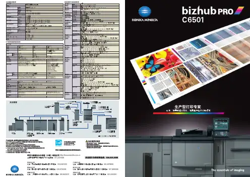 bizhub pro c6501 打印机 说明书