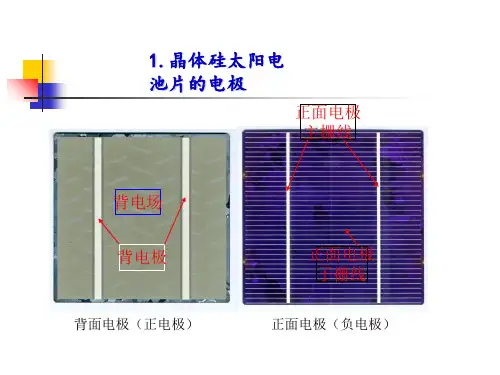 丝网印刷电极生产ppt资料课件
