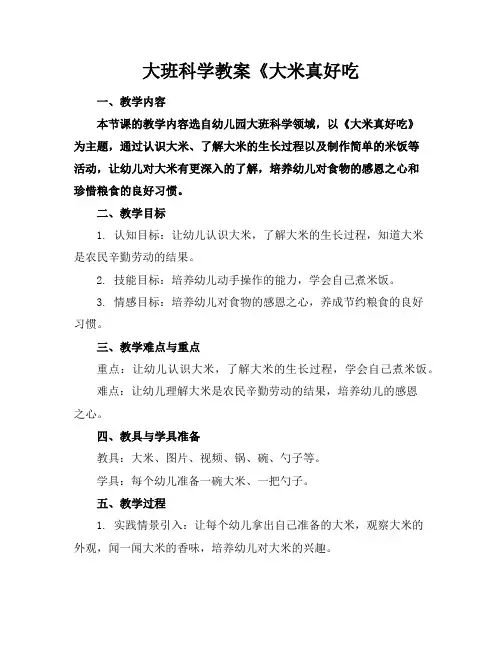 大班科学教案《大米真好吃
