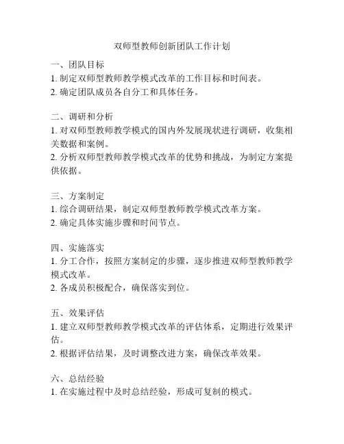 双师型教师创新团队工作计划