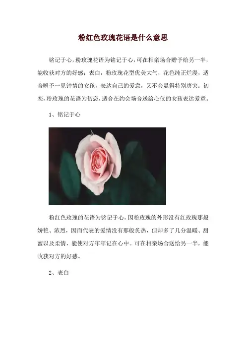 粉红色玫瑰花语是什么意思